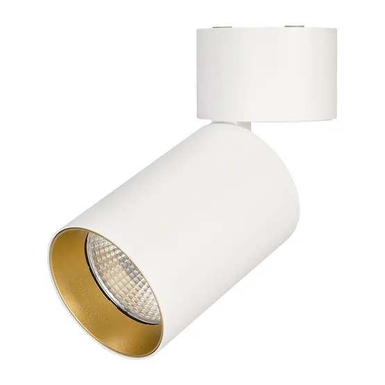 Фото #1 товара Светильник SP-POLO-SURFACE-FLAP-R85-15W Warm3000 (WH-GD, 40 deg) (Arlight, IP20 Металл, 3 года)