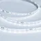 Минифото #1 товара Светодиодная лента RT-20000 24V White6000 (3528, 60 LED/m, 20m) (Arlight, 4.8 Вт/м, IP20)