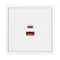 Минифото #4 товара ARL NOBE USB Розетка тип A+C софт-тач белый кварц SCT-MUAC-SFPL-FC-WH (65W, QC3) (Arlight, -)