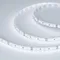 Минифото #1 товара Светодиодная лента MICROLED-M120-8mm 24V White6000 (14 W/m, IP20, 2216, 5m) (Arlight, Открытый)